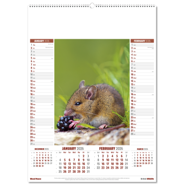 British Wildlife Wall Calendar